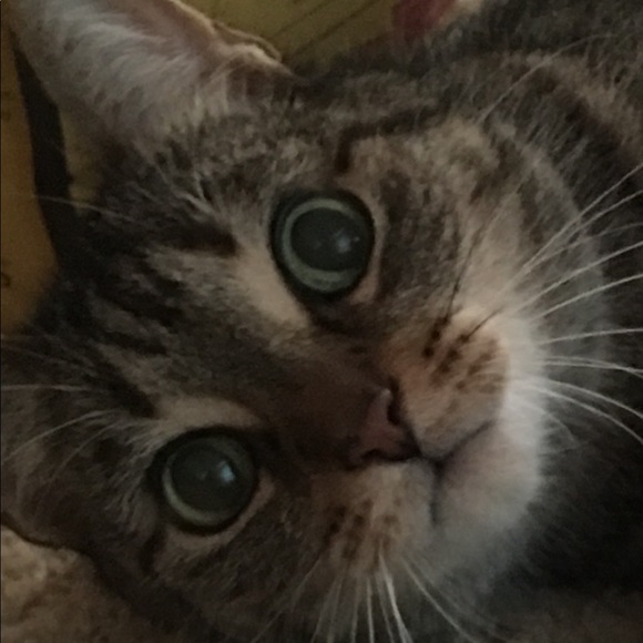 Meet your Posher, Marissa - Picture 2 of 3